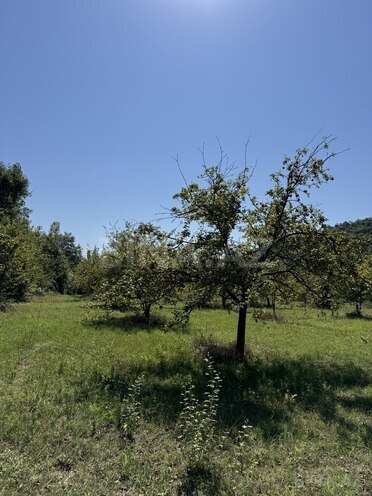 Satılır  torpaq 105 sot, photo 5 from 10