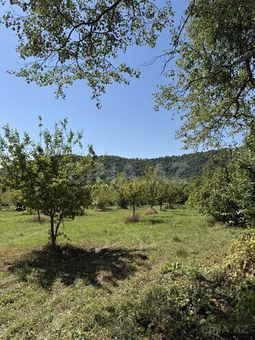 Satılır  torpaq 105 sot, photo 4 from 10