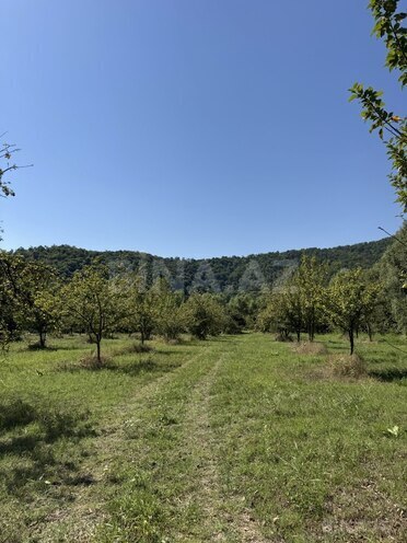 Satılır  torpaq 105 sot, photo 6 from 10