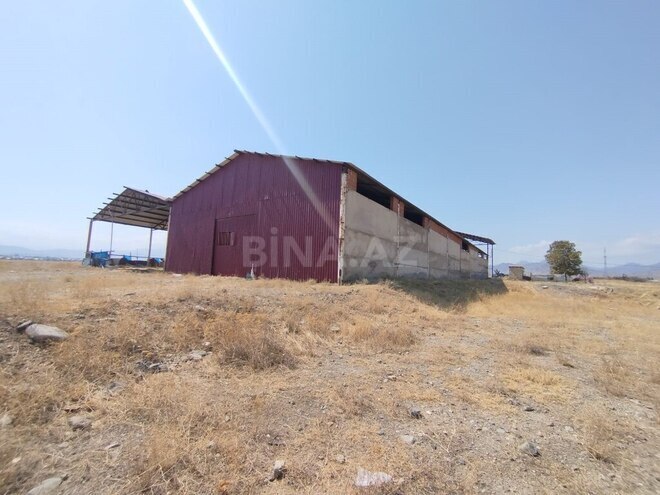 Продаётся  объект 1 500 м², photo 11 from 12