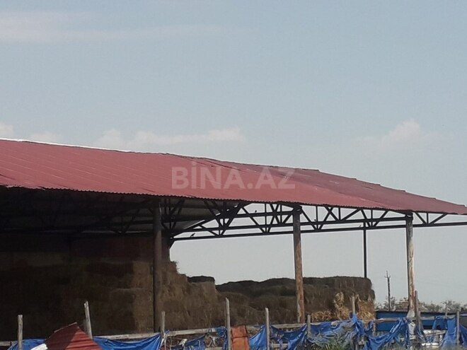 Продаётся  объект 1 500 м², photo 9 from 12