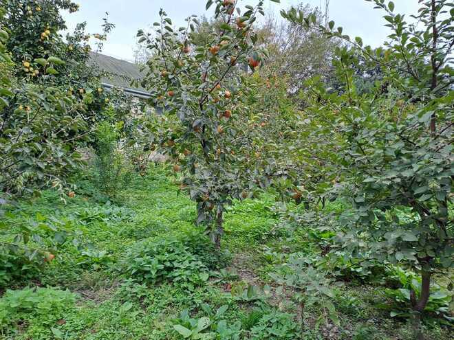 Продаётся 7-комн. дом/дача 200 м², photo 11 from 32