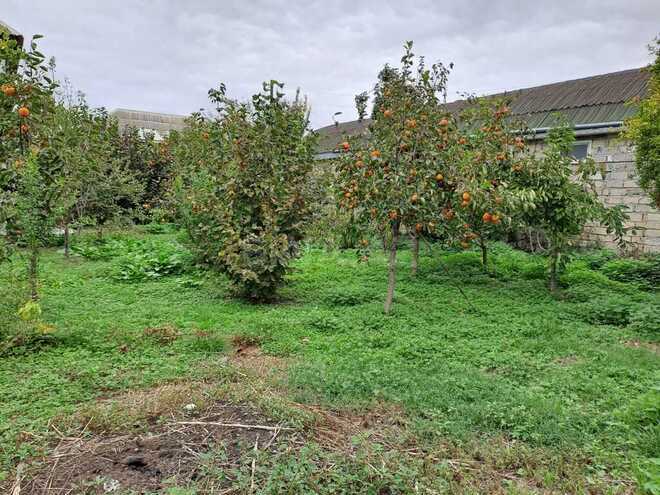 Продаётся 7-комн. дом/дача 200 м², photo 7 from 32