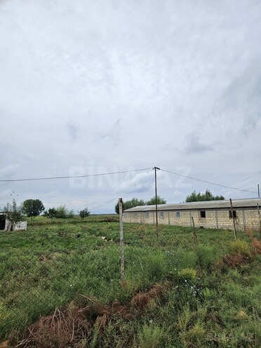 Satılır  obyekt 3 000 m², photo 25 from 32