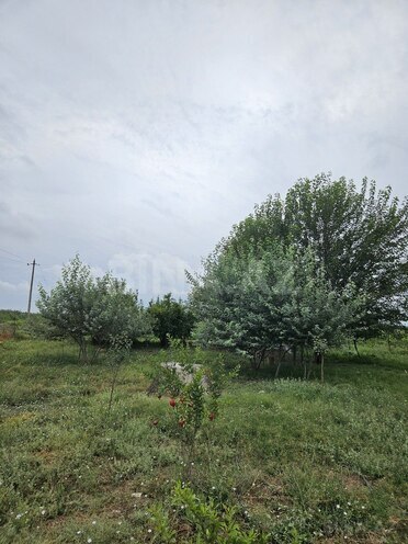 Satılır  obyekt 3 000 m², photo 24 from 32