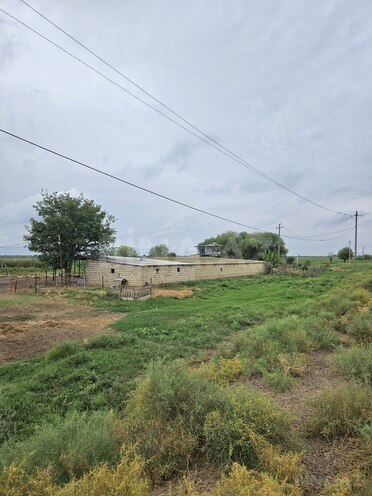 Satılır  obyekt 3 000 m², photo 28 from 32