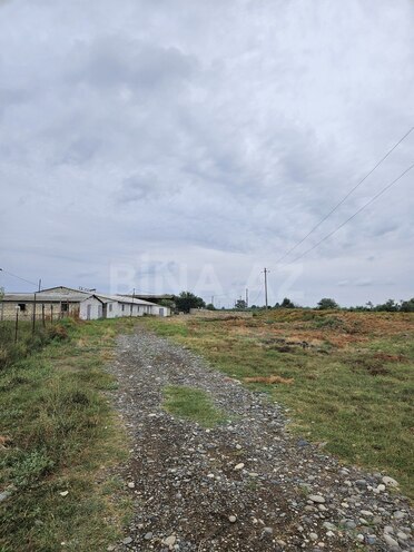 Satılır  obyekt 3 000 m², photo 22 from 32