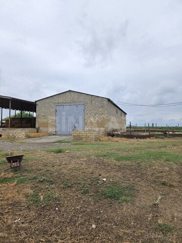 Satılır  obyekt 3 000 m², photo 15 from 32