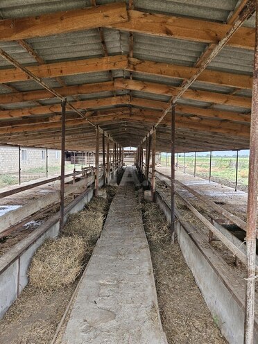 Satılır  obyekt 3 000 m², photo 13 from 32