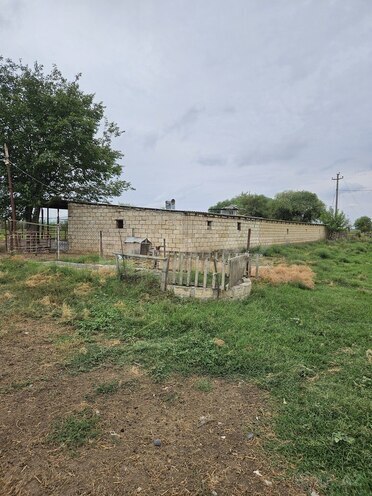 Satılır  obyekt 3 000 m², photo 17 from 32