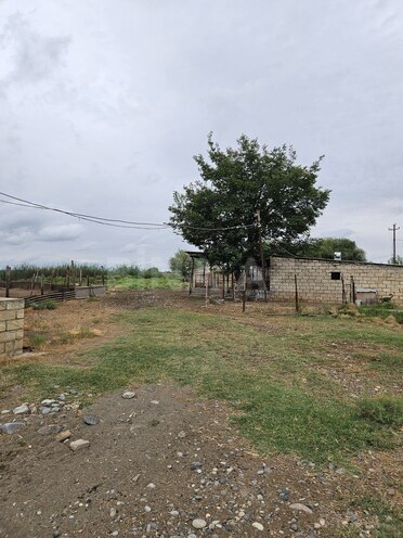 Satılır  obyekt 3 000 m², photo 14 from 32