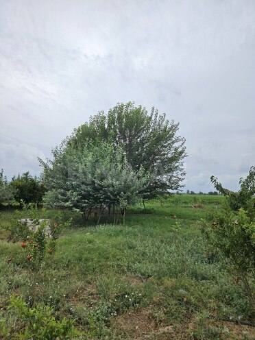 Satılır  obyekt 3 000 m², photo 26 from 32