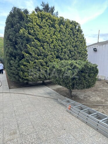 Satılır 4 otaqlı həyət evi/bağ evi 200 m², Xəzər r., photo 28 from 29