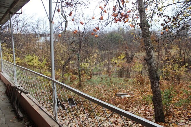 İcarəyə verilir 2 otaqlı həyət evi/bağ evi 52 m², photo 11 from 17