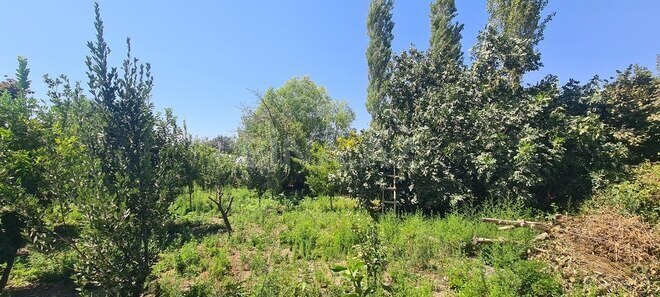 Satılır 6 otaqlı həyət evi/bağ evi 120 m², photo 12 from 32