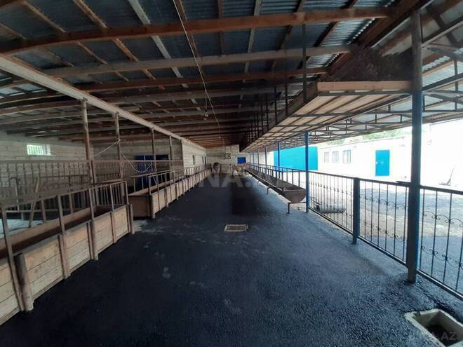 Satılır 8 otaqlı həyət evi/bağ evi 281 m², photo 9 from 12