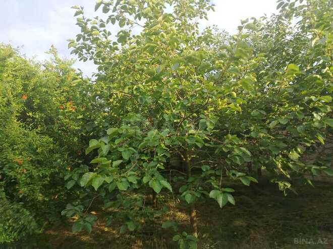 Satılır 8 otaqlı həyət evi/bağ evi 281 m², photo 4 from 12