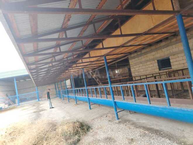 Satılır 8 otaqlı həyət evi/bağ evi 281 m², photo 6 from 12