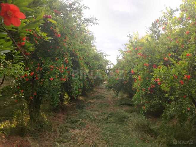 Satılır 8 otaqlı həyət evi/bağ evi 281 m², photo 7 from 12