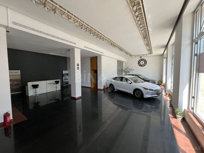 Сдаётся  объект 300 м², м. Низами, photo 8 from 10