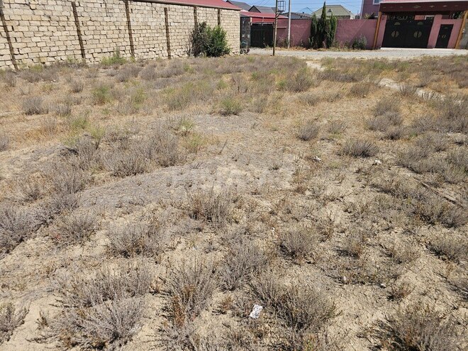 Satılır  torpaq 6 sot, Saray q., photo 8 from 11