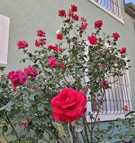 Продаётся 6-комн. дом/дача 200 м², пос. Мехтиабад, photo 15 from 23