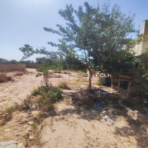 Продаётся  участок 12 сот, пос. Пиршаги, photo 4 from 12