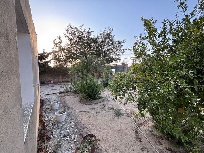 Продаётся  участок 12 сот, пос. Гала, photo 12 from 26