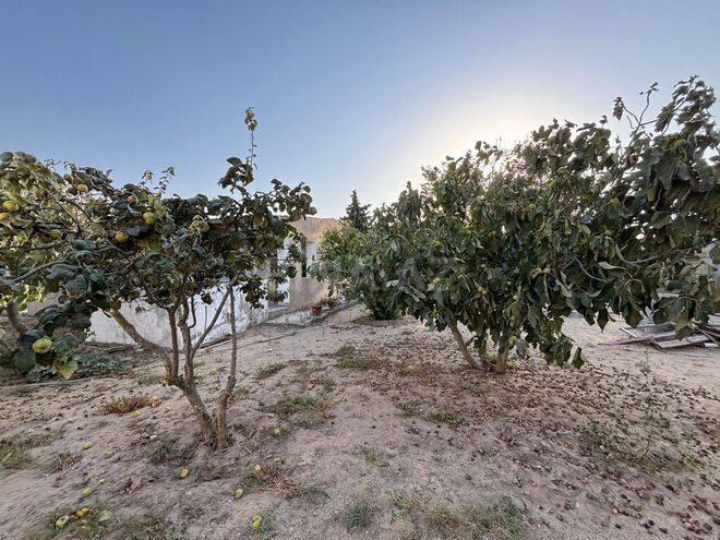 Продаётся  участок 12 сот, пос. Гала, photo 22 from 26