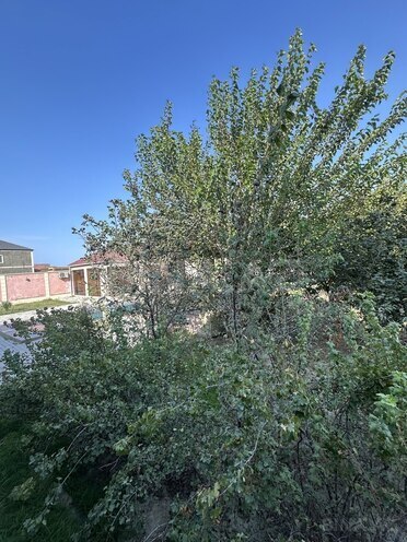 Продаётся  участок 8 сот, пос. Шувеляны, photo 12 from 20