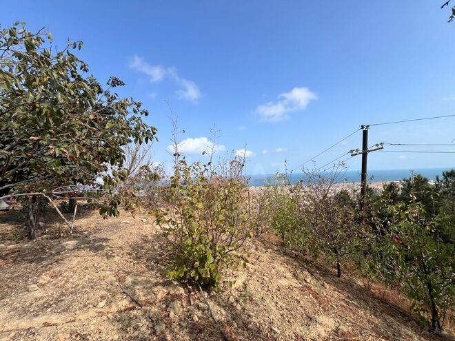 Продаётся  участок 17 сот, Сабаильский р., photo 4 from 10