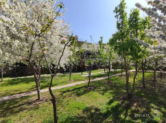 Продаётся  участок 20 сот, м. Насими, photo 4 from 9