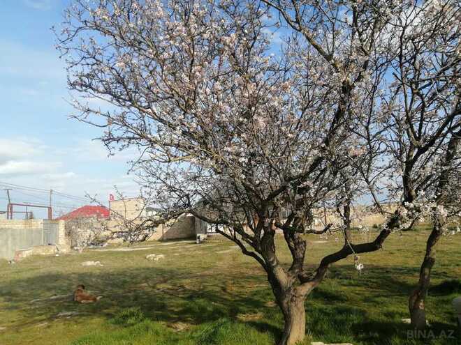 Продаётся 3-комн. дом/дача 110 м², пос. Маштаги, photo 3 from 17