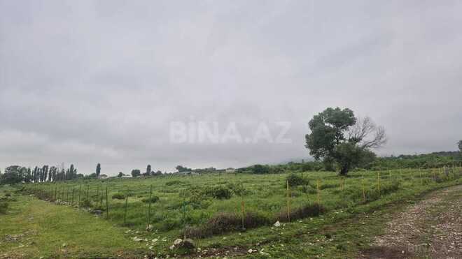 Satılır  torpaq 400 sot, photo 6 from 10