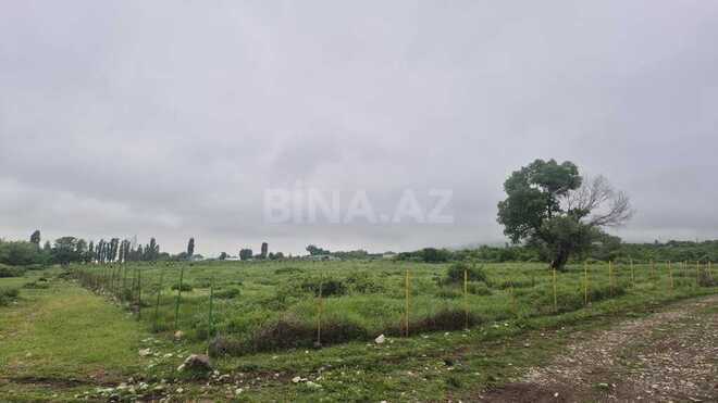 Satılır  torpaq 400 sot, photo 5 from 10