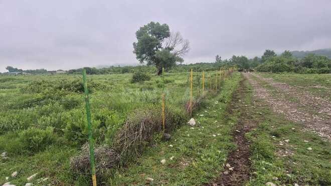 Satılır  torpaq 400 sot, photo 9 from 10