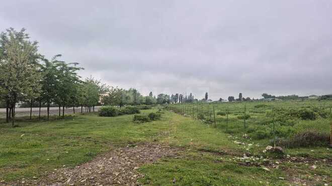 Satılır  torpaq 400 sot, photo 3 from 10