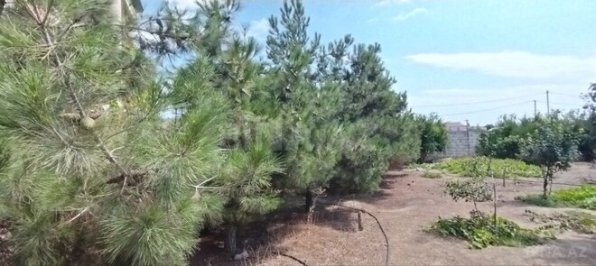 Satılır 6 otaqlı həyət evi/bağ evi 280 m², Fatmayı q., photo 29 from 31