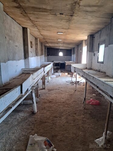 Продаётся  участок 4 сот, пос. Деде Горгуд, photo 4 from 6