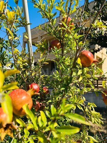 Satılır 6 otaqlı həyət evi/bağ evi 430 m², Görədil q., photo 19 from 20