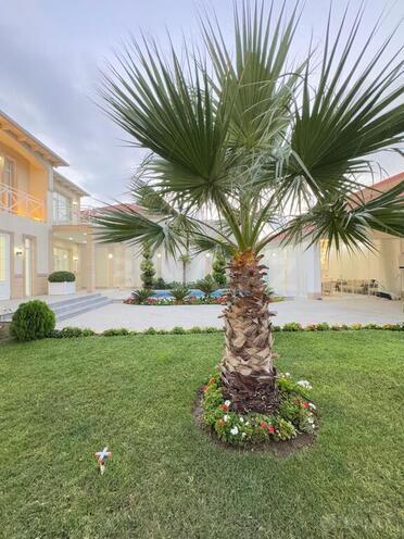 Продаётся 5-комн. дом/дача 300 м², пос. Мардакан, photo 14 from 32