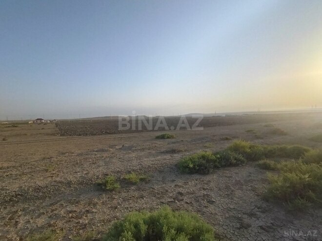 Satılır  torpaq 800 sot, Ələt q., photo 3 from 5