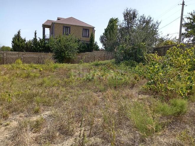 Satılır  torpaq 12 sot, Novxanı q., photo 4 from 12