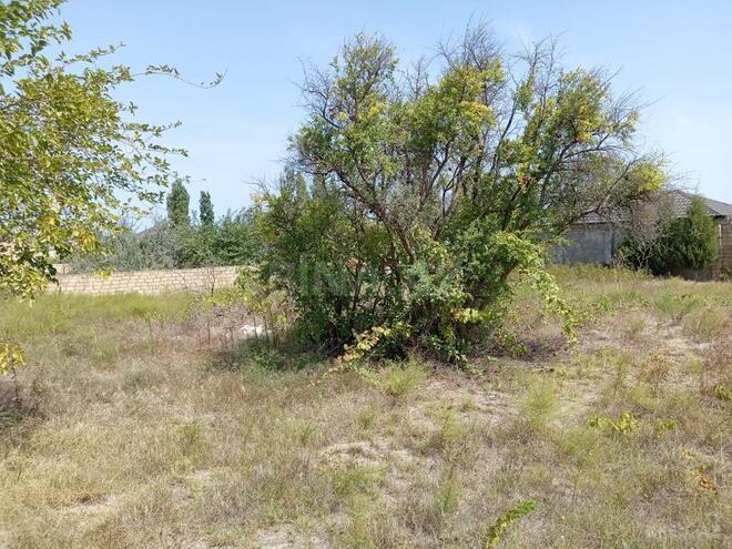 Satılır  torpaq 12 sot, Novxanı q., photo 5 from 12