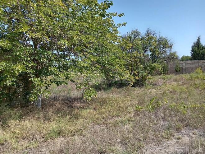 Satılır  torpaq 12 sot, Novxanı q., photo 3 from 12