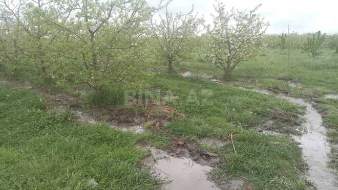 Satılır  torpaq 168 sot, photo 5 from 31