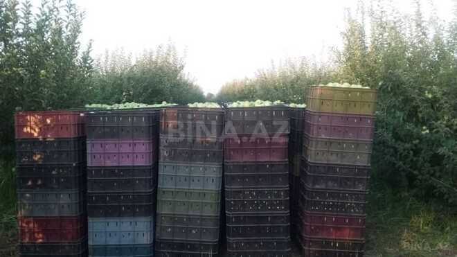 Satılır  torpaq 168 sot, photo 8 from 31