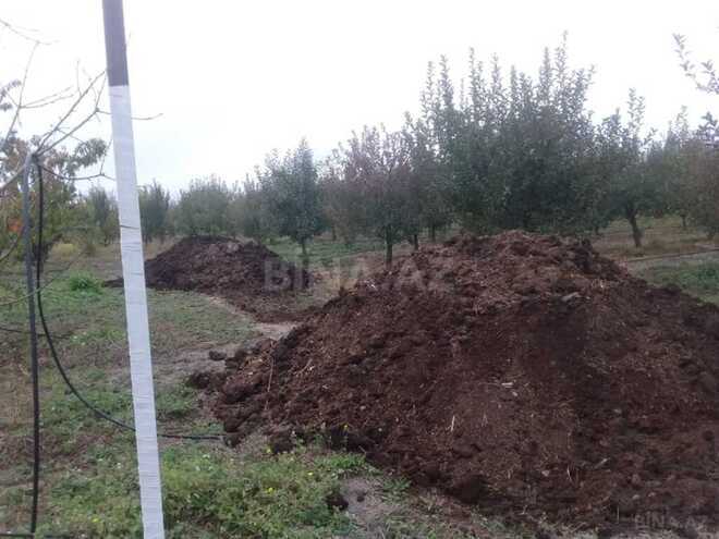 Satılır  torpaq 168 sot, photo 12 from 31