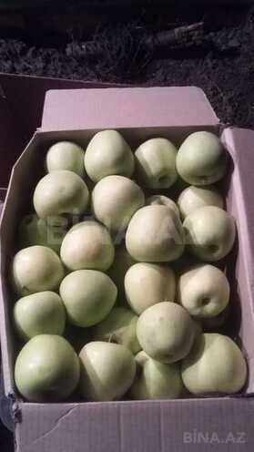 Satılır  torpaq 168 sot, photo 14 from 31