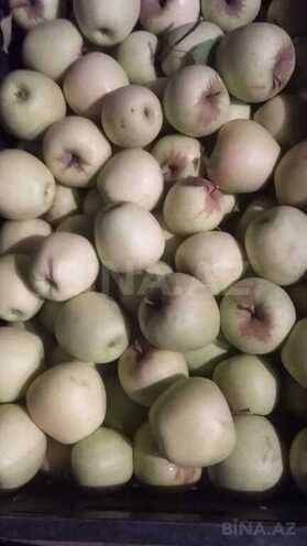 Satılır  torpaq 168 sot, photo 15 from 31